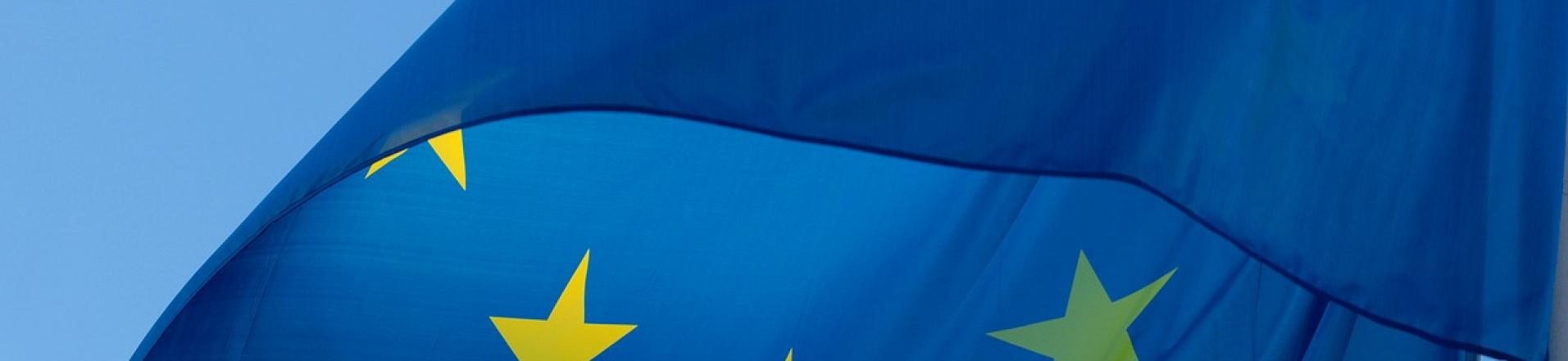 Bandiera Europa